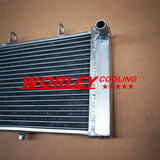 Aluminum Radiator for DERBI GPR 125 2 stroke 2004